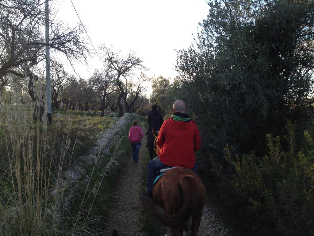 Agriturismo Vita E Natura Villa Noto Buitenkant foto