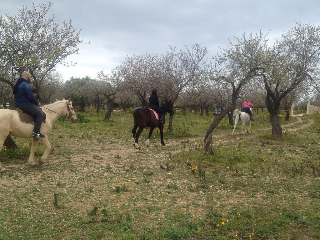 Agriturismo Vita E Natura Villa Noto Buitenkant foto