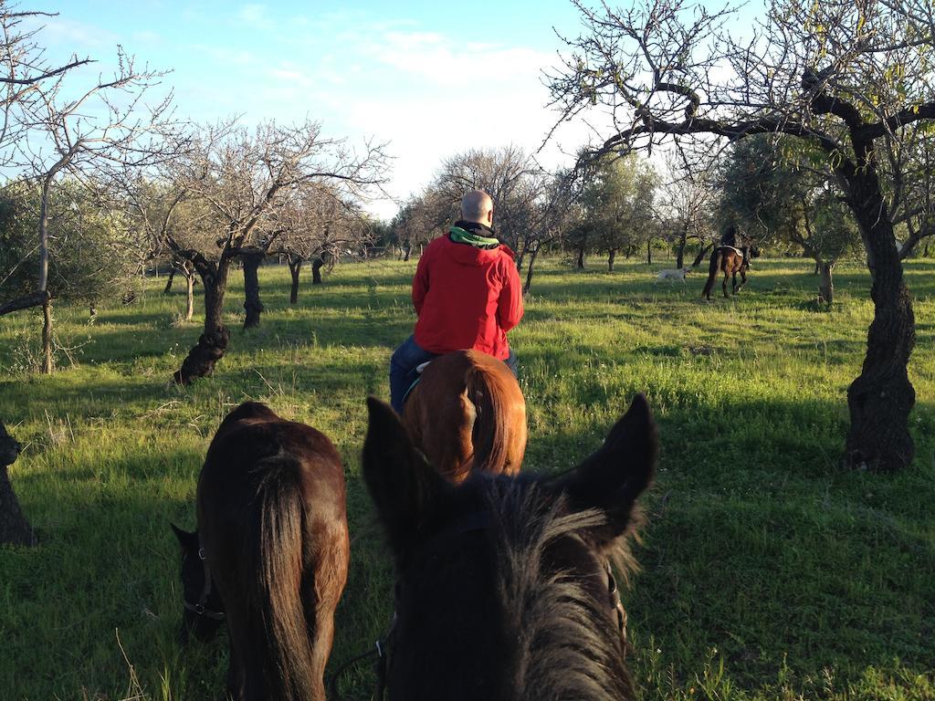 Agriturismo Vita E Natura Villa Noto Buitenkant foto