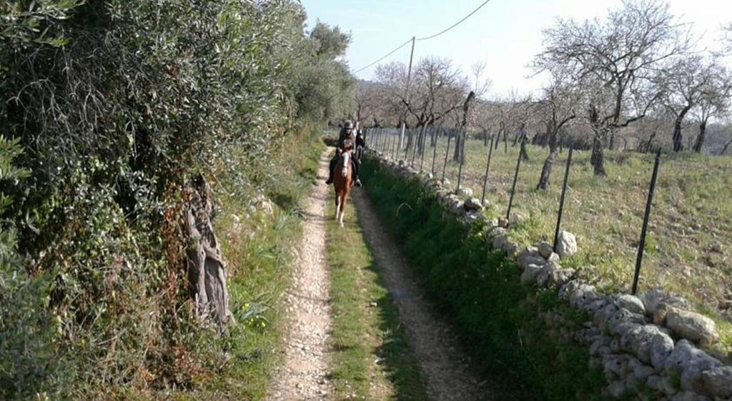 Agriturismo Vita E Natura Villa Noto Buitenkant foto